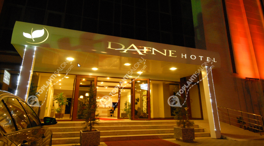 Otel | Türkiye, Ankara, Çankaya, Balgat | DAFNE OTEL