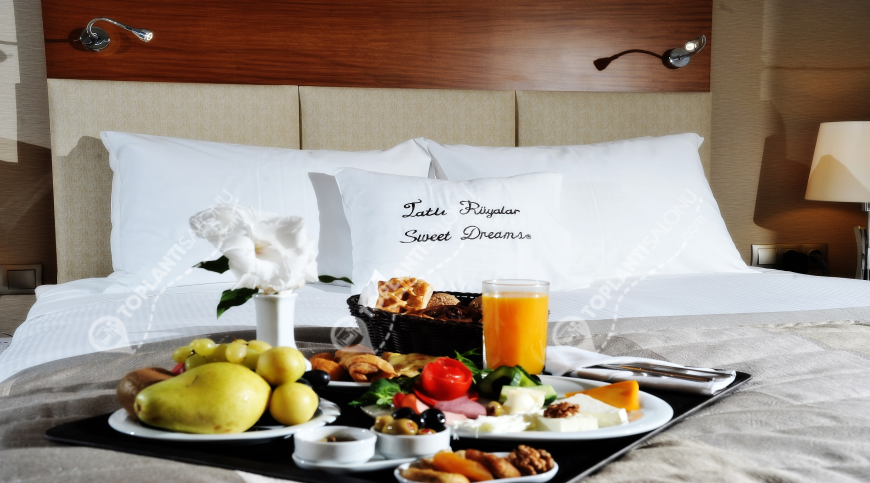 Otel | Türkiye, Ankara, Çankaya, Kızılay | BERA ANKARA