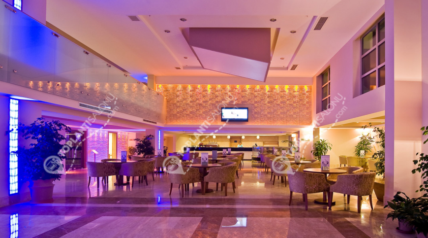 Otel | Türkiye, Balıkesir, Edremit, Akçay | ADRINA THERMAL HEALTH & SPA HOTEL