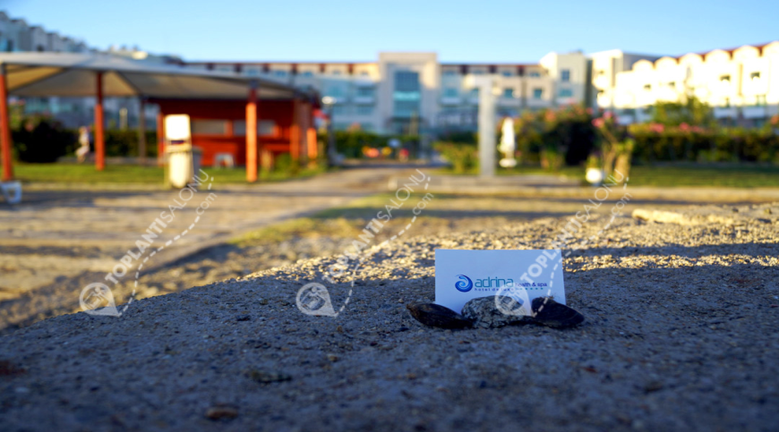 Otel | Türkiye, Balıkesir, Edremit, Akçay | ADRINA THERMAL HEALTH & SPA HOTEL