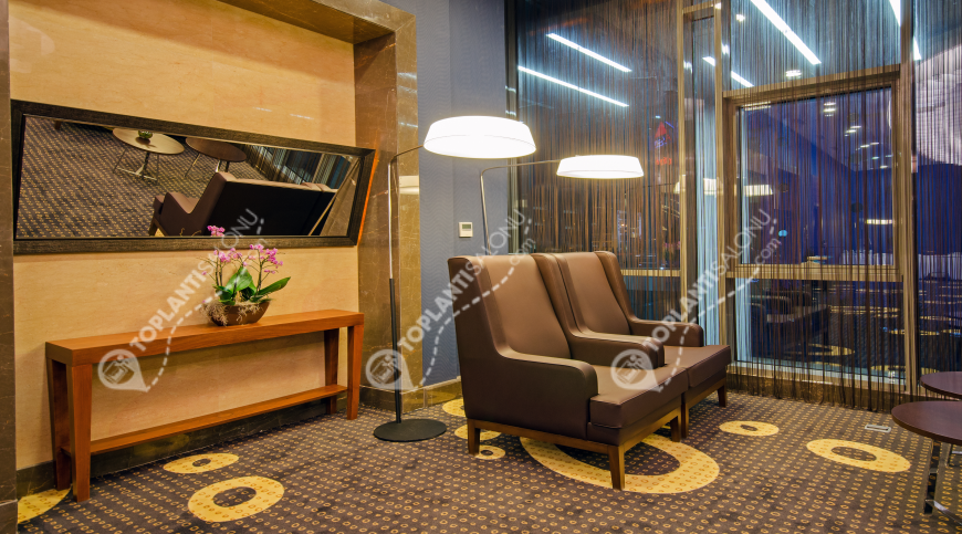 Otel | Türkiye, İstanbul, Ümraniye, Çakmak | RESCATE HOTEL ISTANBUL ASIA