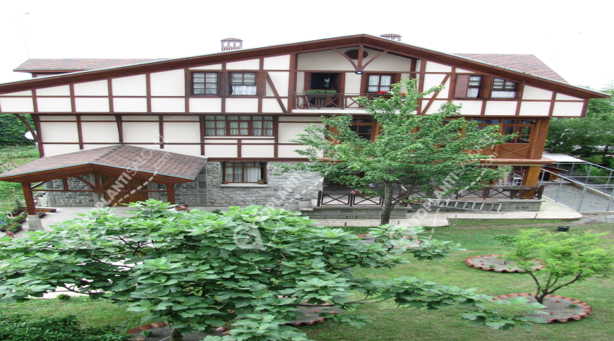 Otel | Türkiye, Rize, Çayeli, Çayeli | GRAND ÇAVUŞOĞLU HOTEL