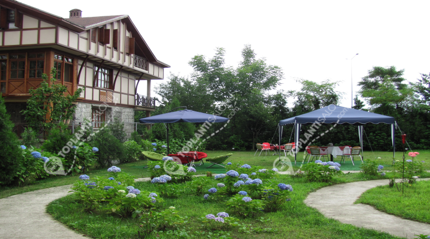 Otel | Türkiye, Rize, Çayeli, Çayeli | GRAND ÇAVUŞOĞLU HOTEL