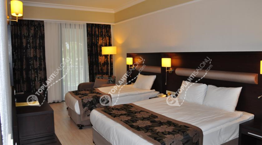 Otel | Türkiye, Antalya, Manavgat, Side | SARAY REGENCY RESORT & SPA HOTEL Otel | Türkiye, Antalya, Manavgat, Side | SARAY REGENCY RESORT & SPA HOTEL