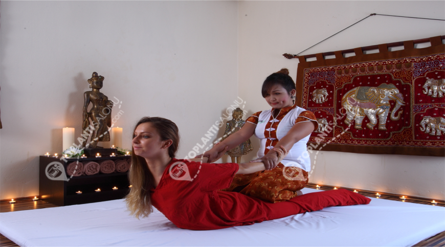 Otel | Türkiye, Muğla, Bodrum, Bodrum | ROYAL ARENA RESORT & SPA HOTEL