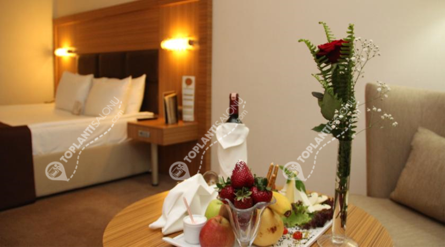 Otel | Türkiye, Ankara, Çankaya, Sıhhiye | SÜRMELİ HOTEL ANKARA