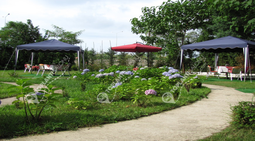Otel | Türkiye, Rize, Çayeli, Çayeli | GRAND ÇAVUŞOĞLU HOTEL