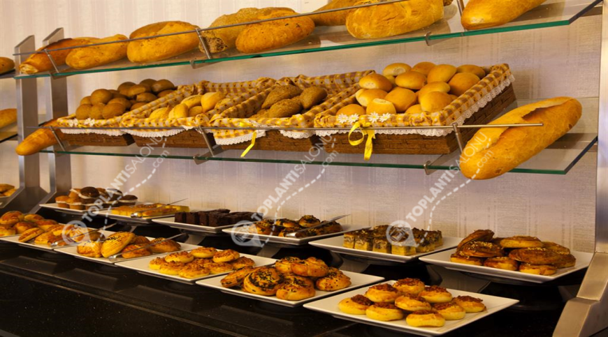 Otel | Türkiye, Ankara, Çankaya, Kavaklıdere | LİMAK AMBASSADORE HOTEL