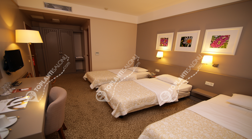 Otel | Türkiye, Rize, Çayeli, Çayeli | GRAND ÇAVUŞOĞLU HOTEL