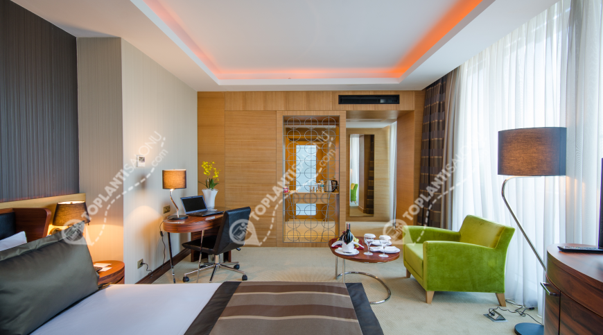 Otel | Türkiye, İstanbul, Ümraniye, Çakmak | RESCATE HOTEL ISTANBUL ASIA