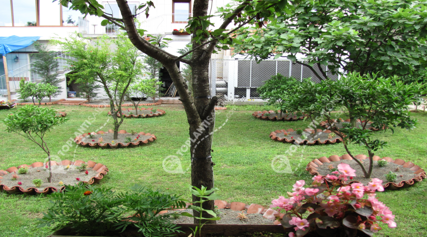 Otel | Türkiye, Rize, Çayeli, Çayeli | GRAND ÇAVUŞOĞLU HOTEL