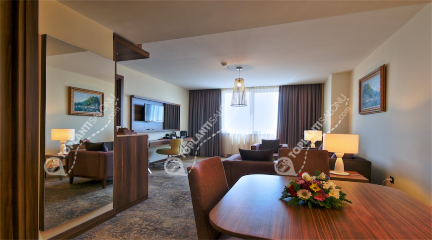 Kongre Merkezi | Türkiye, İstanbul, Büyükçekmece, Büyükçekmece | TÜYAP PALAS