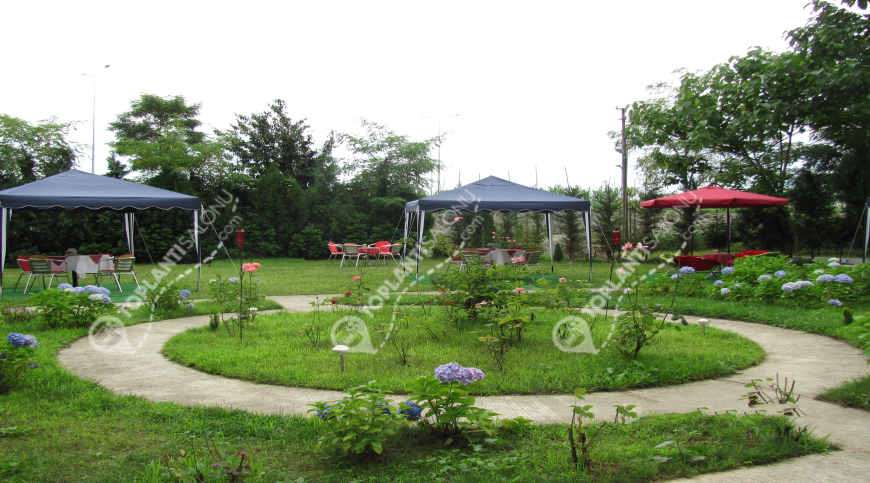 Otel | Türkiye, Rize, Çayeli, Çayeli | GRAND ÇAVUŞOĞLU HOTEL