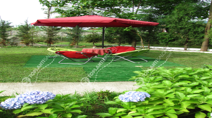 Otel | Türkiye, Rize, Çayeli, Çayeli | GRAND ÇAVUŞOĞLU HOTEL