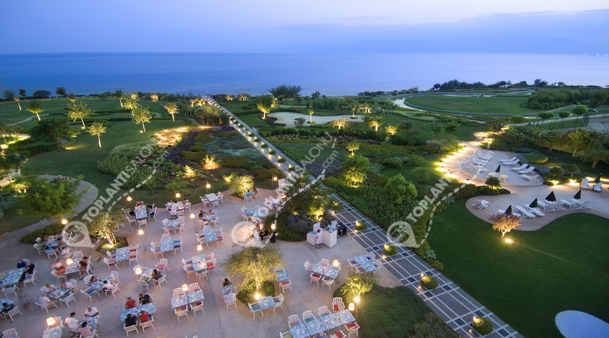 Otel | Türkiye, Antalya, Muratpaşa, Lara | THE MARMARA ANTALYA