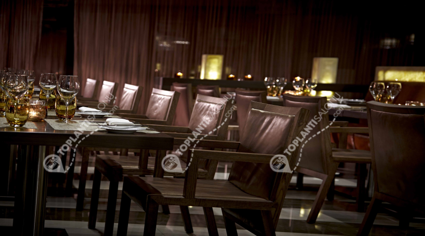 Otel | Türkiye, İstanbul, Beşiktaş, Gayrettepe | RENAISSANCE ISTANBUL POLAT BOSPHORUS HOTEL