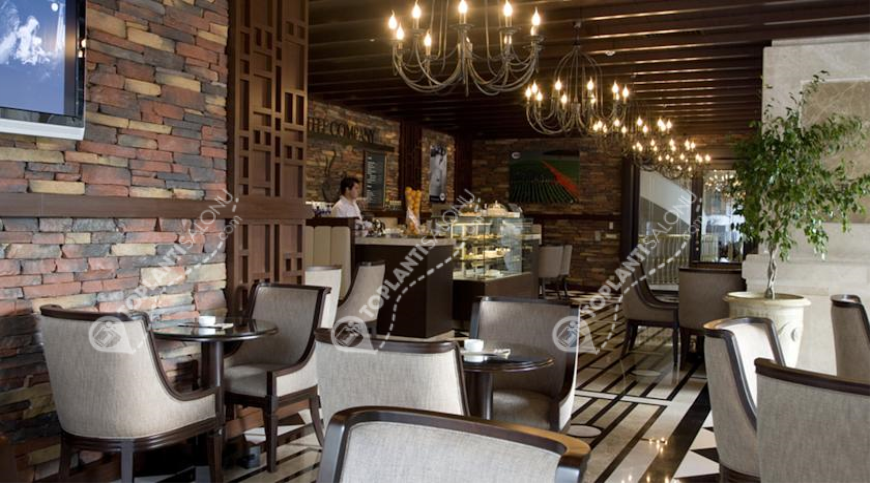 Otel | Türkiye, İstanbul, Beyoğlu, Taksim | ELITE WORLD ISTANBUL