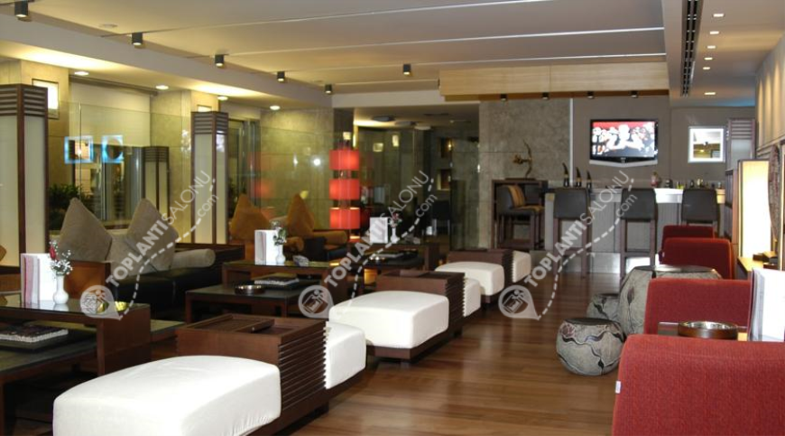 Otel | Türkiye, İstanbul, Beyoğlu, Taksim | NİPPON HOTEL