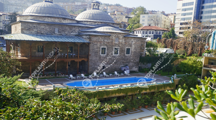 Otel | Türkiye, Bursa, Osmangazi, Çekirge | KERVANSARAY HOTEL BURSA