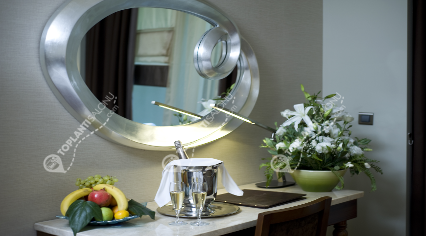 Otel | Türkiye, Bursa, Osmangazi, Çekirge | KERVANSARAY HOTEL BURSA