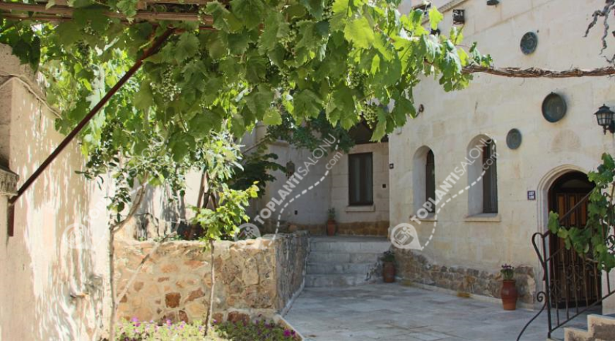 Otel | Türkiye, Nevşehir, Nevşehir, Göre | ANATOLIAN CAVE