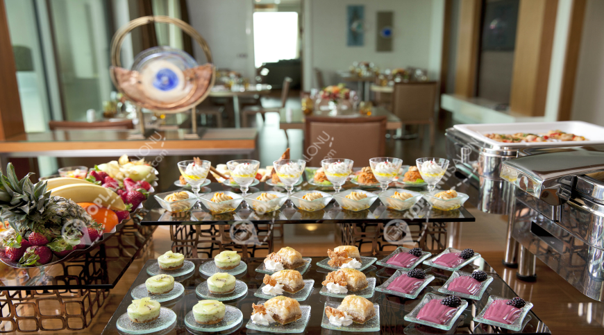 Otel | Türkiye, İstanbul, Beşiktaş, Gayrettepe | RENAISSANCE ISTANBUL POLAT BOSPHORUS HOTEL