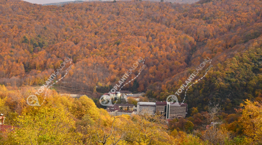 Otel | Türkiye, Bursa, İnegöl | OYLAT KAPLICALARI