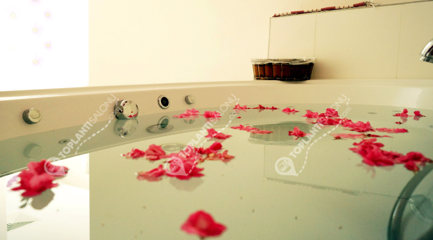 Otel | Türkiye, Balıkesir, Edremit, Akçay | ADRINA THERMAL HEALTH & SPA HOTEL