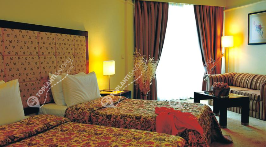 Otel | Türkiye, Antalya, Manavgat, Side | SARAY REGENCY RESORT & SPA HOTEL Otel | Türkiye, Antalya, Manavgat, Side | SARAY REGENCY RESORT & SPA HOTEL