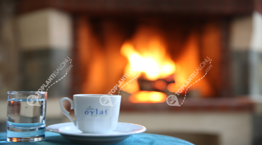 Otel | Türkiye, Bursa, İnegöl | OYLAT KAPLICALARI