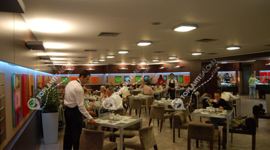 Otel | Türkiye, İstanbul, Beyoğlu, Taksim | NİPPON HOTEL