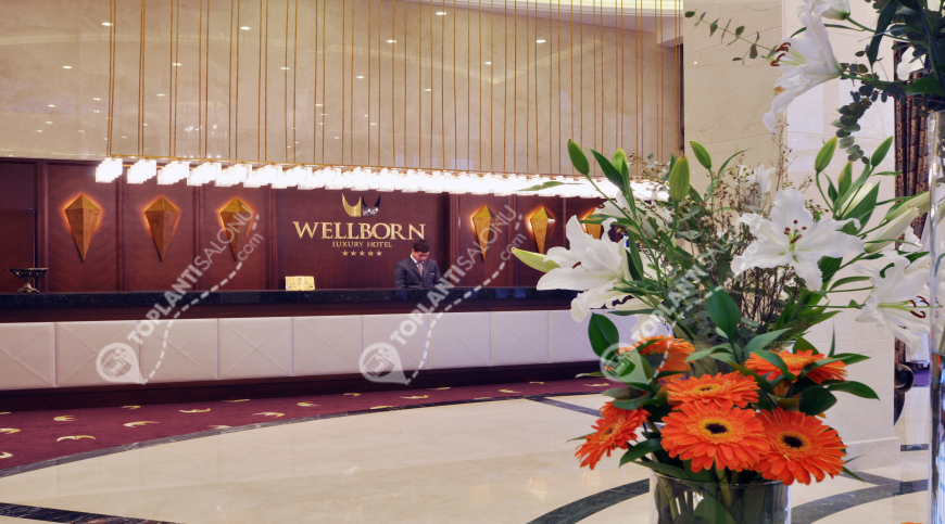 Otel | Türkiye, Kocaeli, Başiskele, Karşıyaka | WELLBORN LUXURY HOTEL