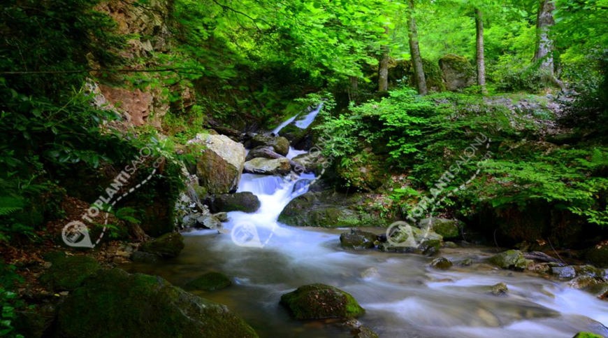 Otel | Türkiye, Bursa, İnegöl | OYLAT KAPLICALARI