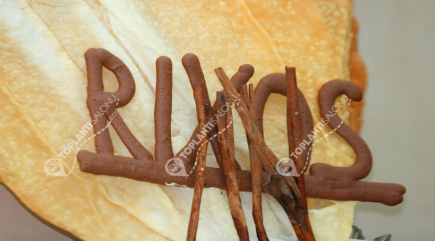 Otel | Türkiye, Konya, Selçuklu, Bosna | RIXOS KONYA