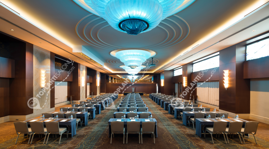 Otel | Türkiye, İstanbul, Bayrampaşa, Muratpaşa | TITANIC BUSINESS BAYRAMPASA | Karina Balo Salonu