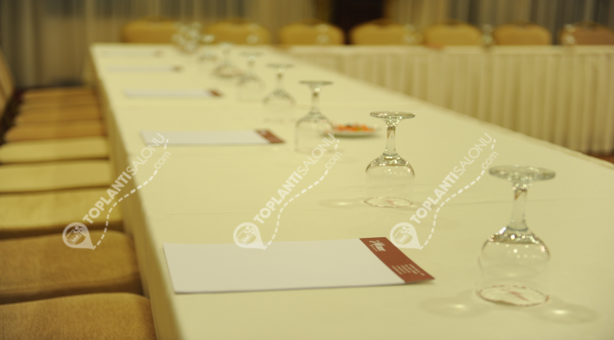 Otel | Türkiye, Ankara, Çankaya, Dikmen/Oran | HOTEL MONEC | Begonya