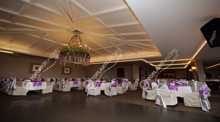 Otel | Türkiye, Rize, Çayeli, Çayeli | GRAND ÇAVUŞOĞLU HOTEL | LİKABA RESTAURANT