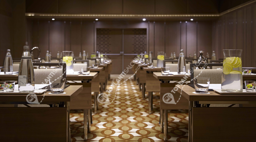 Otel | Türkiye, İstanbul, Beşiktaş, Gayrettepe | RENAISSANCE ISTANBUL POLAT BOSPHORUS HOTEL | The Ball