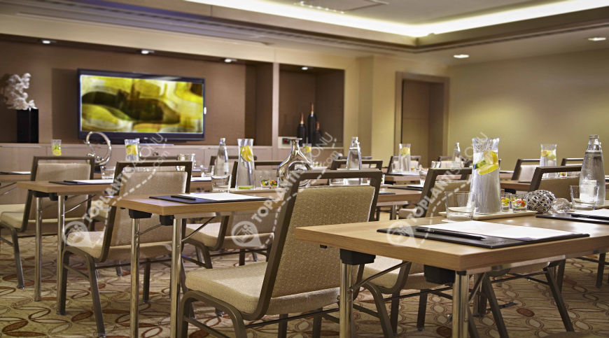 Otel | Türkiye, İstanbul, Beşiktaş, Gayrettepe | RENAISSANCE ISTANBUL POLAT BOSPHORUS HOTEL | Studio 3