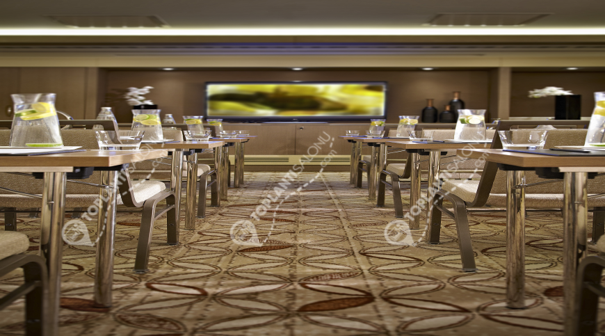 Otel | Türkiye, İstanbul, Beşiktaş, Gayrettepe | RENAISSANCE ISTANBUL POLAT BOSPHORUS HOTEL | Studio 1