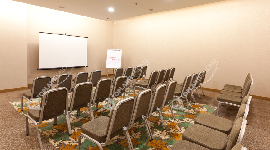 Otel | Türkiye, Ankara, Yenimahalle, Yenimahalle | CROWNE PLAZA ANKARA | Yunus Emre Salonu