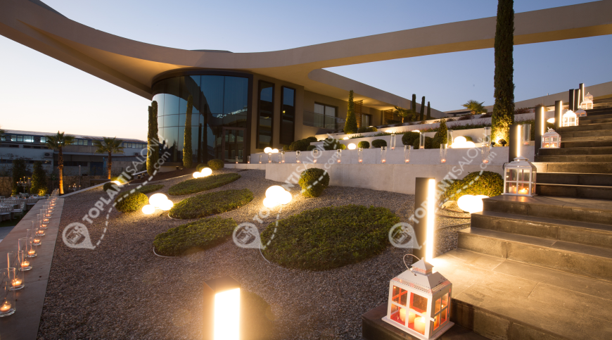 Otel | Türkiye, İzmir, Gaziemir, Sarnıç | DOUBLE TREE BY HILTON İZMİR AIRPORT | Pool Side