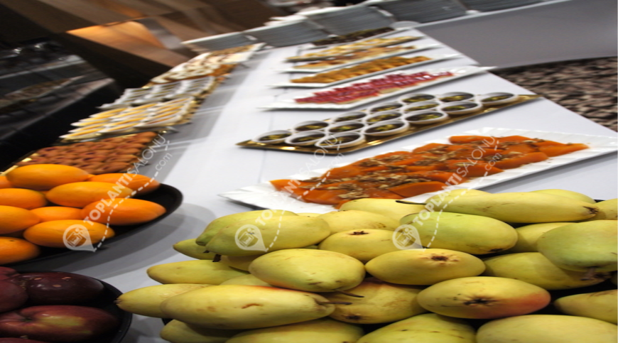 Otel | Türkiye, Ankara, Yenimahalle, Yenimahalle | HILTON GARDEN INN ANKARA | Vira