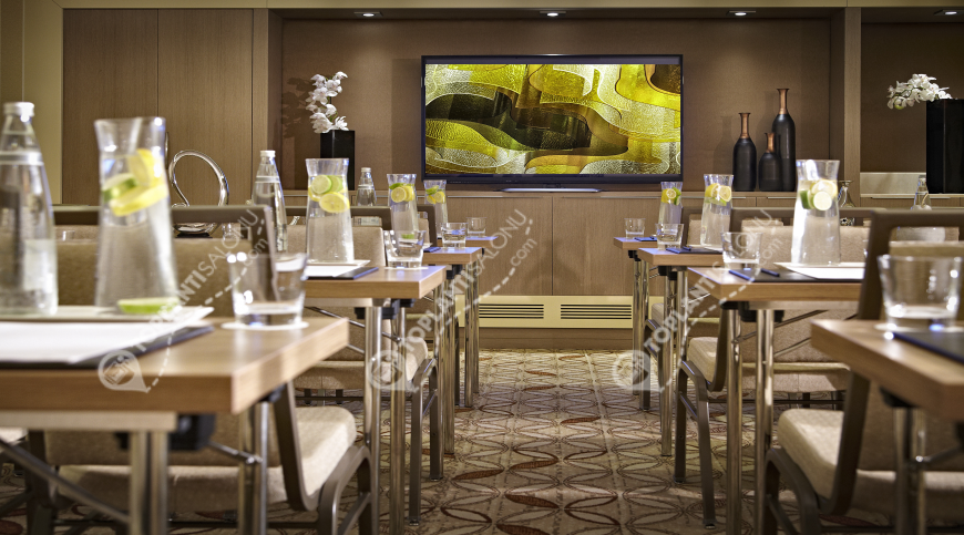 Otel | Türkiye, İstanbul, Beşiktaş, Gayrettepe | RENAISSANCE ISTANBUL POLAT BOSPHORUS HOTEL | Studio 2