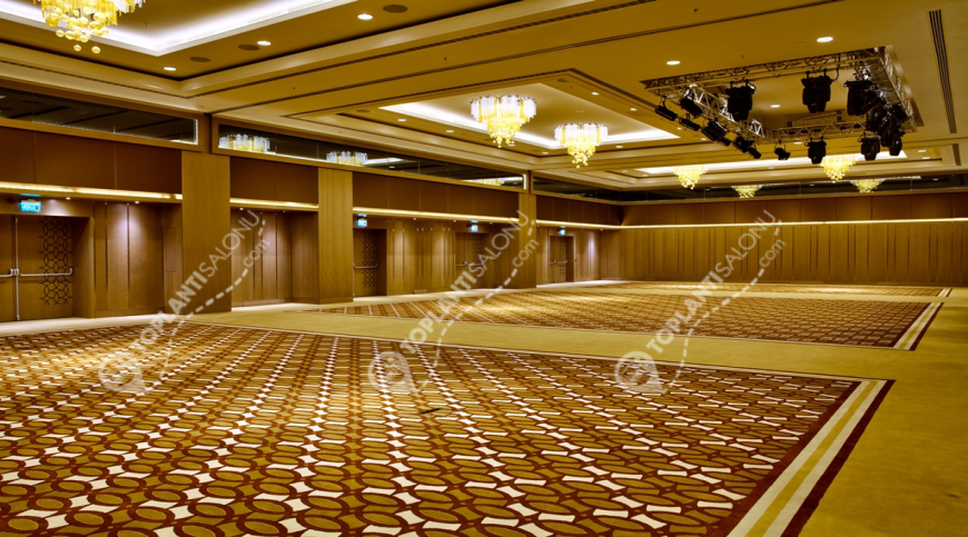 Otel | Türkiye, İstanbul, Beşiktaş, Gayrettepe | RENAISSANCE ISTANBUL POLAT BOSPHORUS HOTEL | The Ball